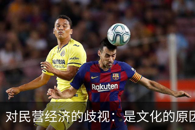 对民营经济的歧视：是文化的原因，还是意识形态的推动